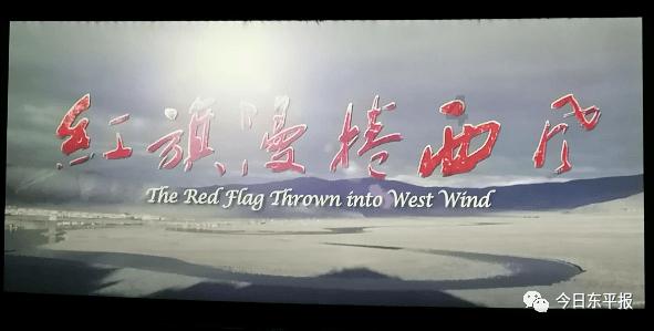 拯救小萌虎